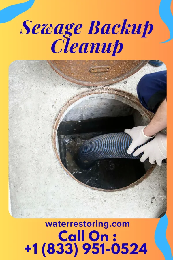 Sewage Backup Cleanup in Strawberry Point, IA