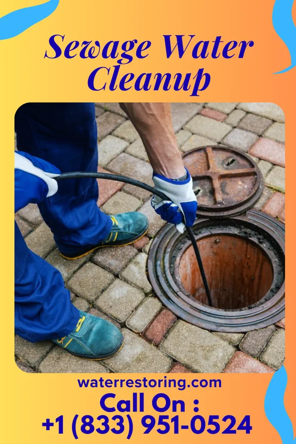 Sewage Water Cleanup in Strawberry Point, IA